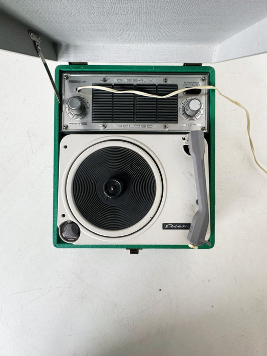 Geloso suitcase cover G-294-V