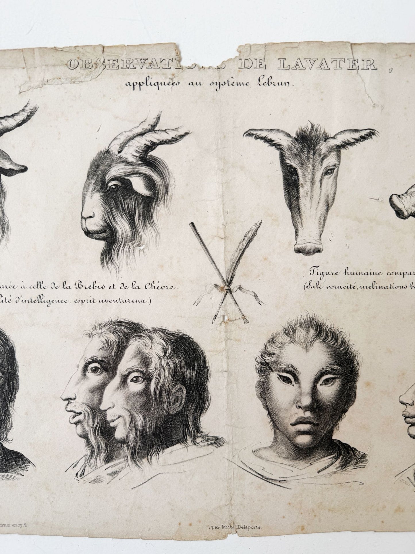 Observations appliquées au système de Lavater, N°3