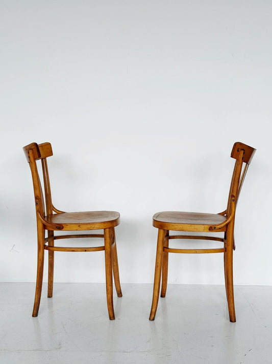 pair of bentwood chairs