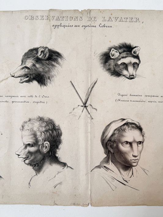 Observations appliquées au système de Lavater, N°5