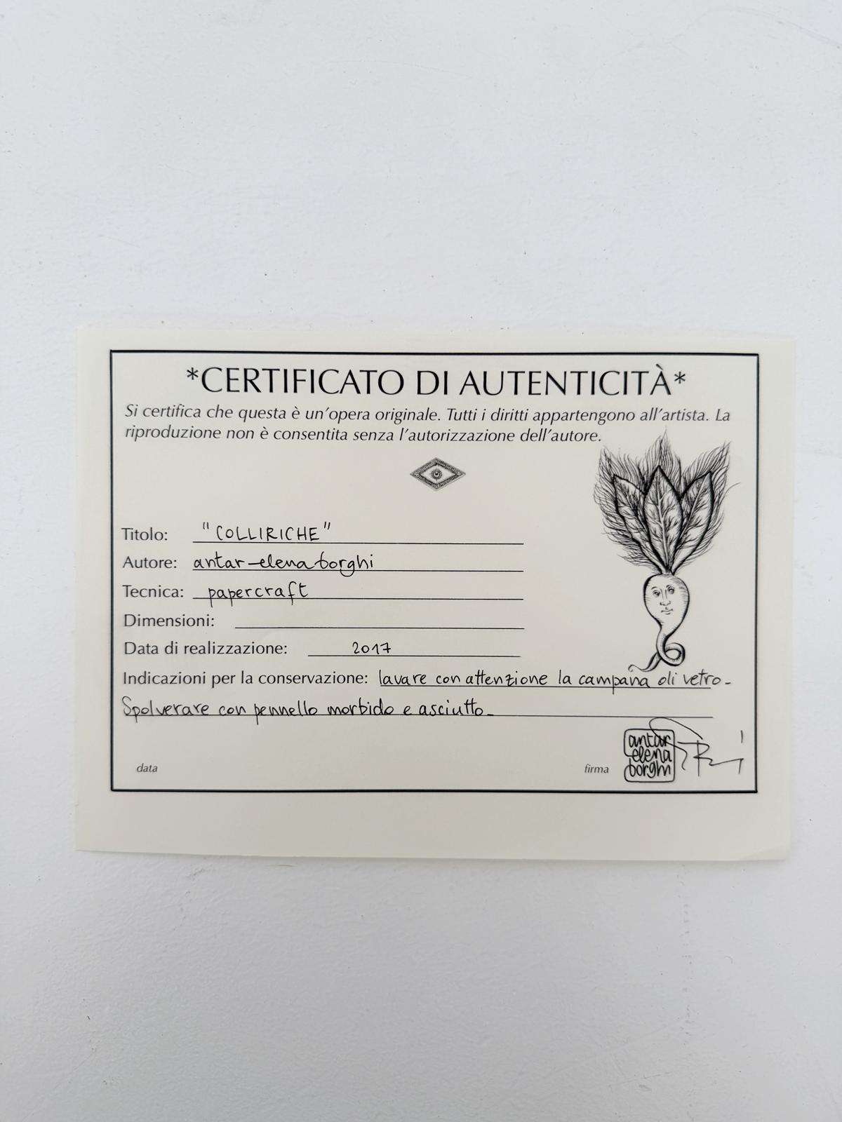 COLLIRICHE by ANTAR ELENA BORGHI