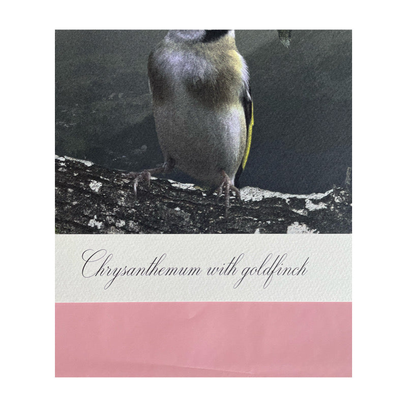 CHRYSANTHEMUM WITH GOLDFISH