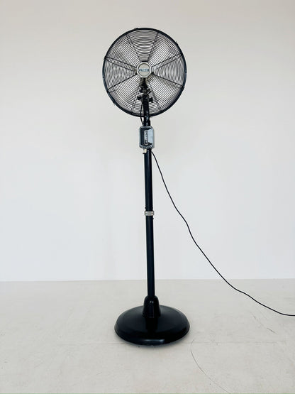 Cinni pedestal fan
