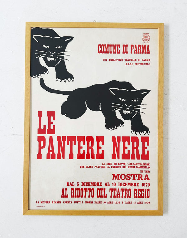 Locandina "Le Pantere Nere"