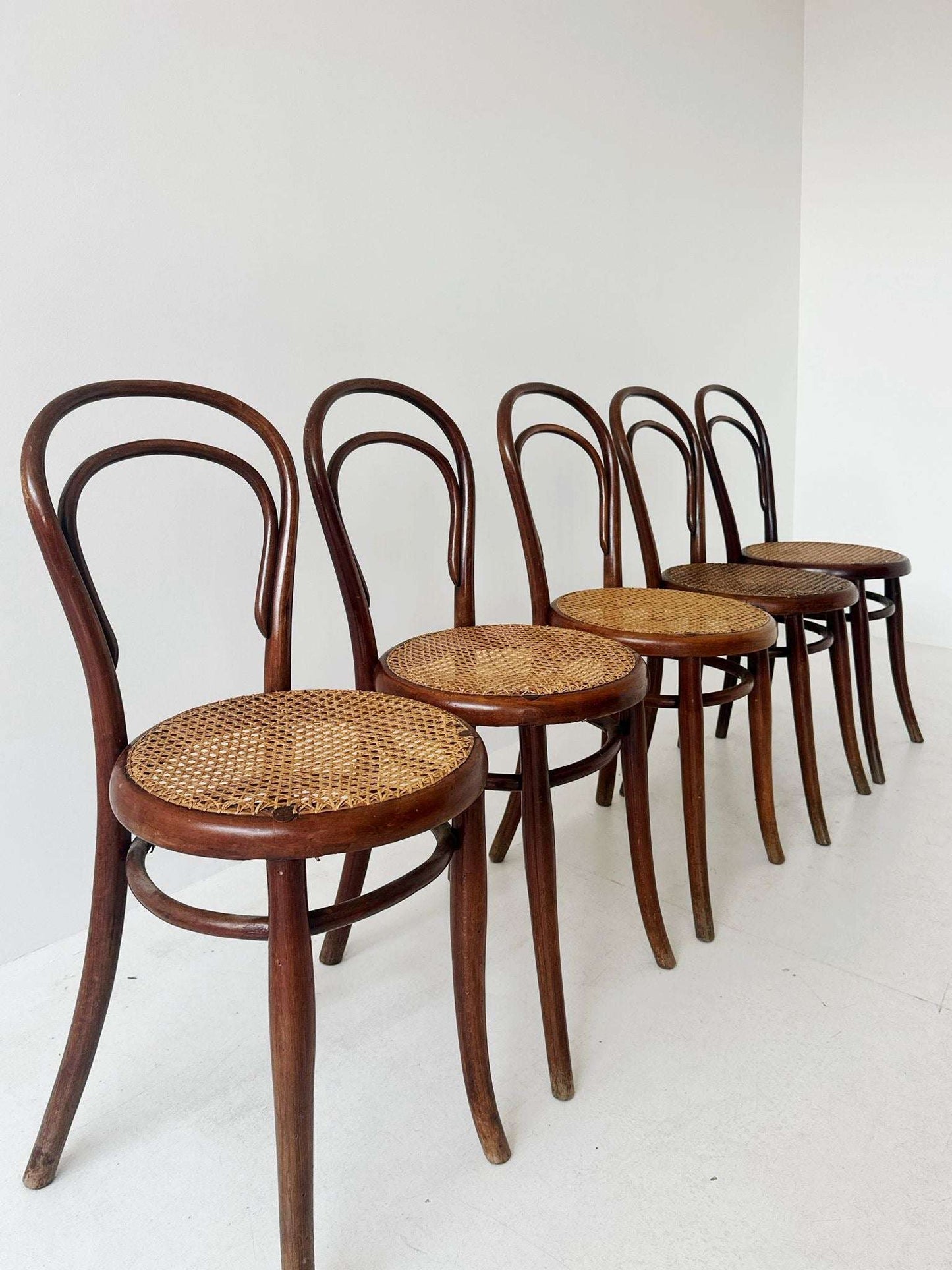 Five Thonet chairs