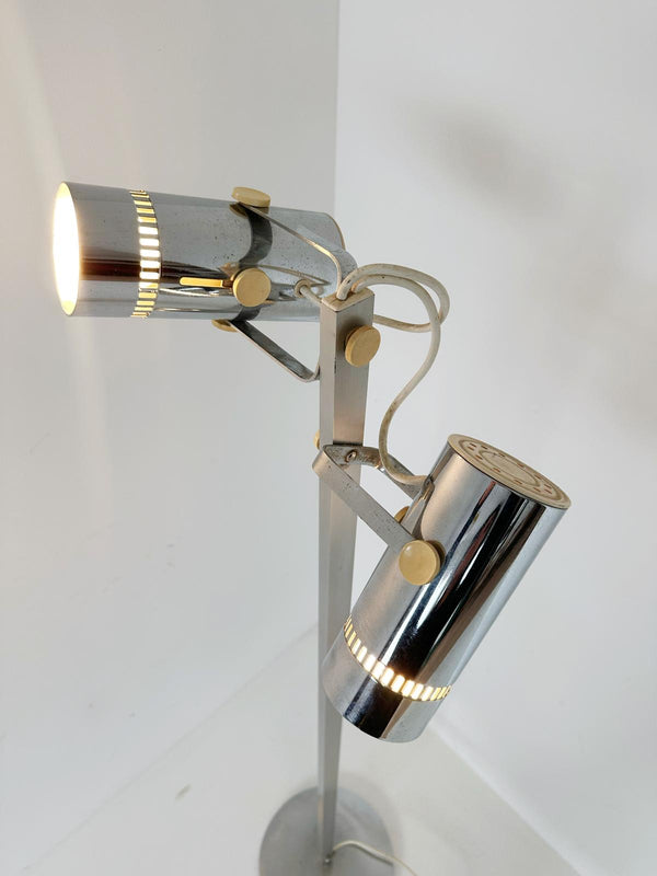 Floor lamp with two lights