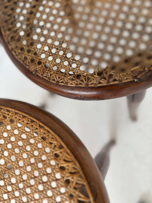 Five Thonet chairs