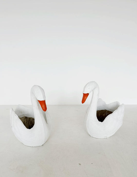 Pair of swans