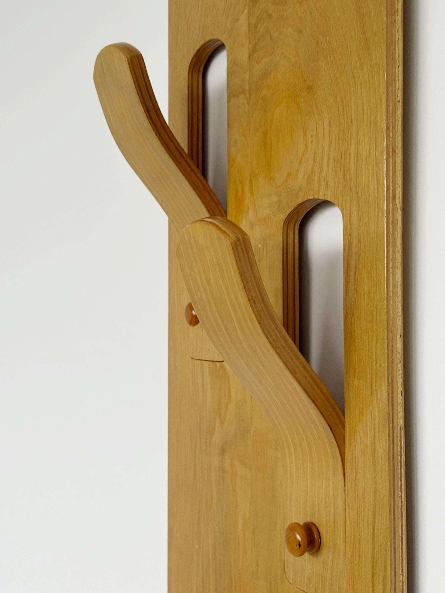 A pair of wall-mounted coat racks composed of two independent vertical modules,