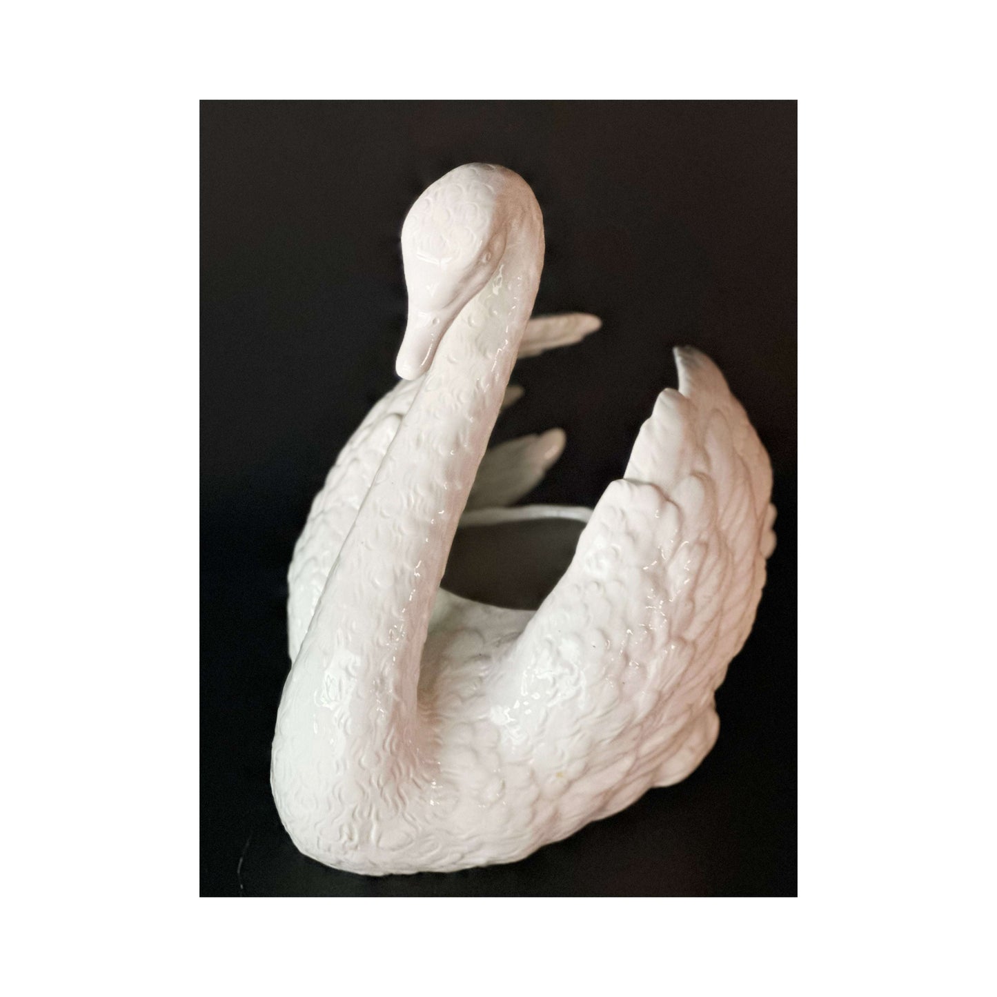 Swan