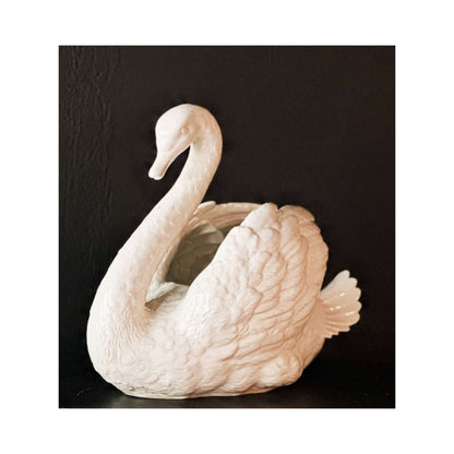Swan