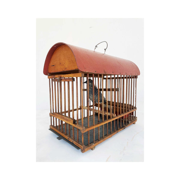 Cage with bird