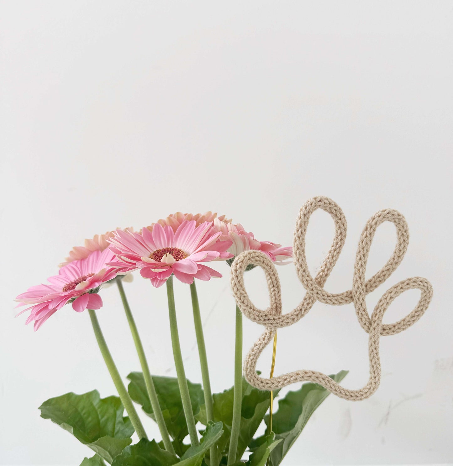 Plant Topper “Zampetta” with tricotin
