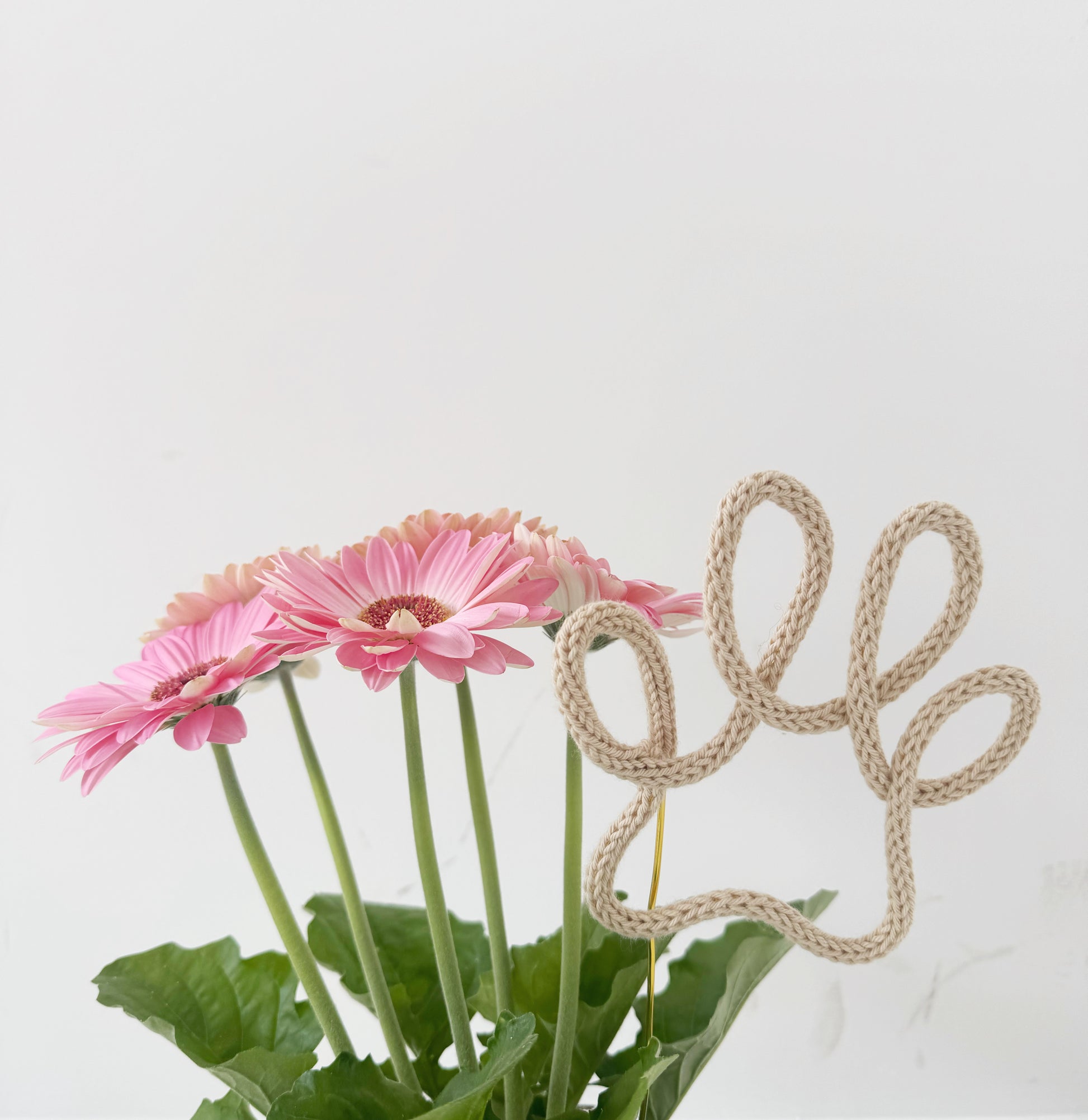 Plant Topper “Zampetta” with tricotin