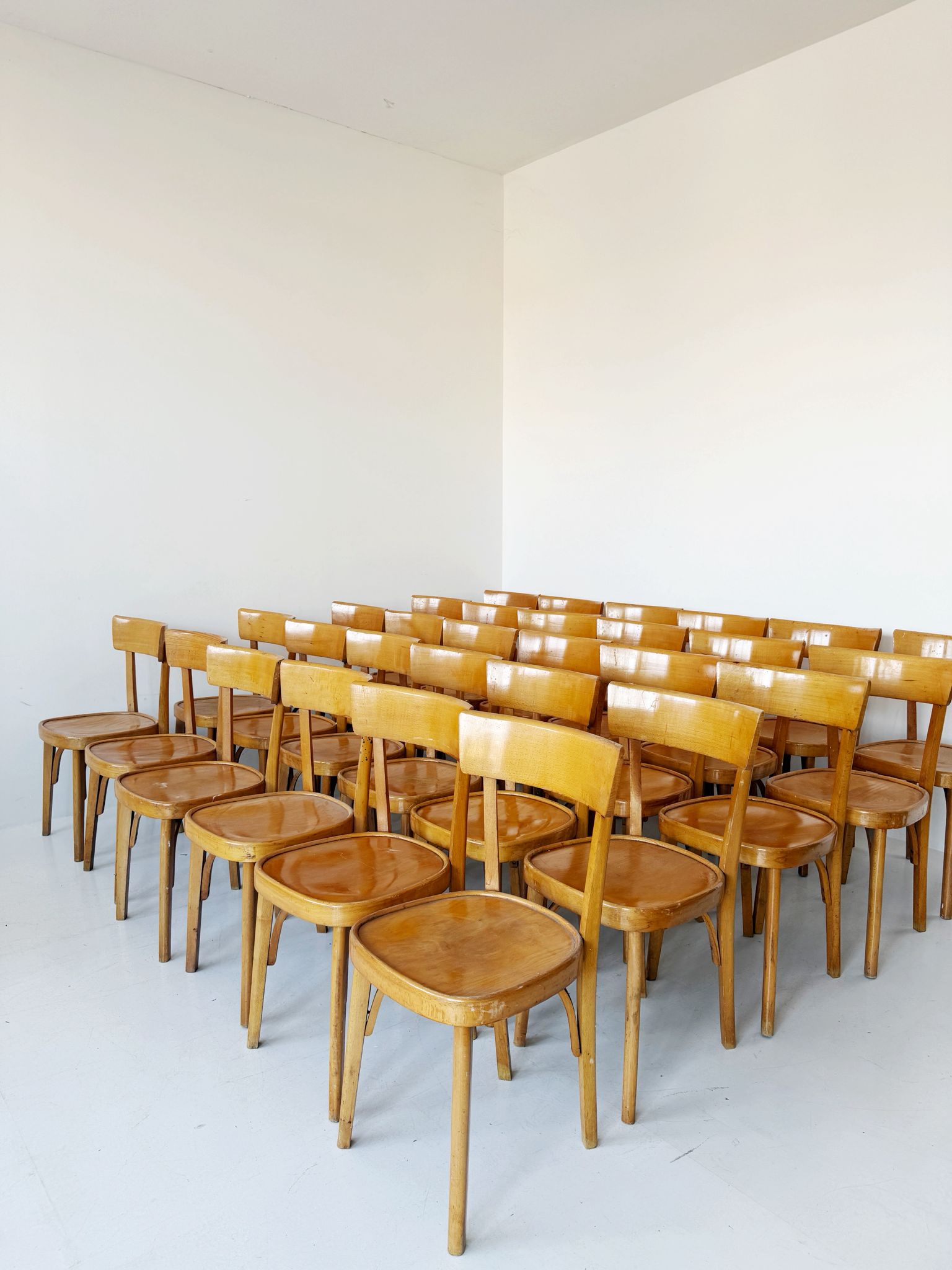 Set of 30 beechwood tavern chairs – Italy, 1950s/60s