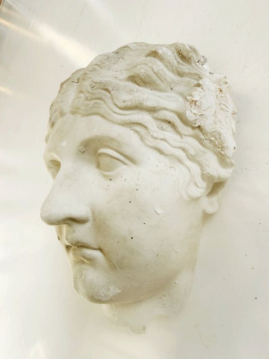 Un frammento di gesso raffigurante un volto femminile