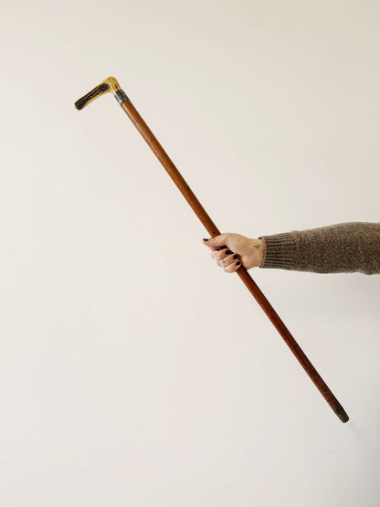 Walking stick with horn handle, early 1900s