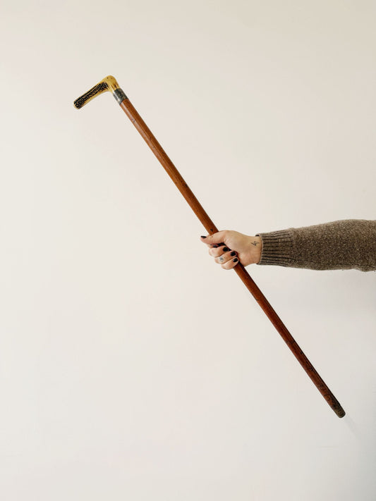 Bastone da passeggio con impugnatura in corno, primi ’900