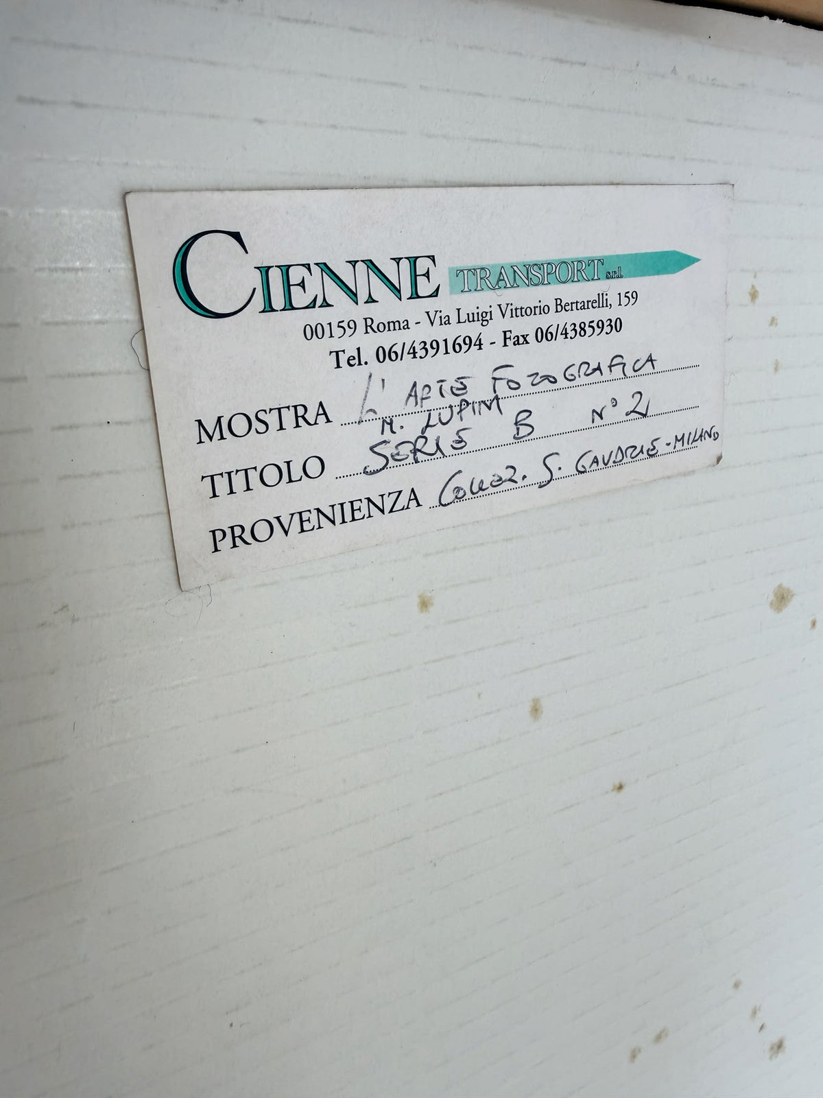 Lupini – Serie B, No. 12, 1995