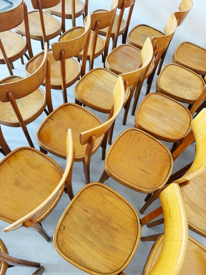 Set of 30 beechwood tavern chairs – Italy, 1950s/60s
