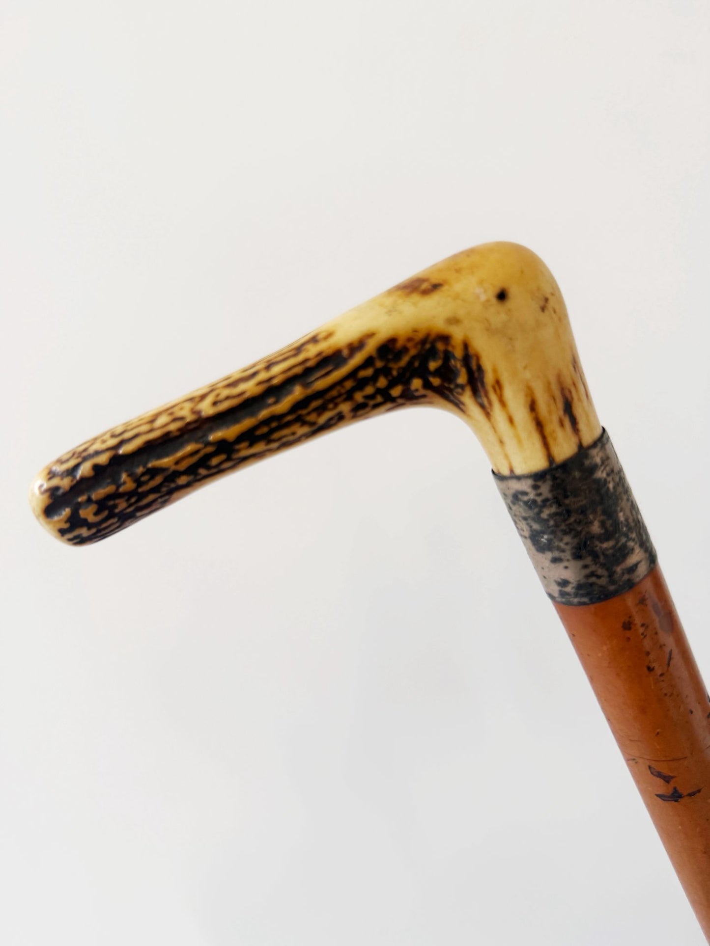 Walking stick with horn handle, early 1900s