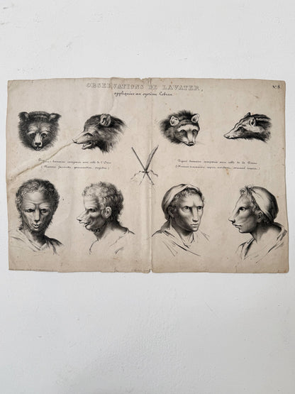 Observations appliquées au système de Lavater, N°5