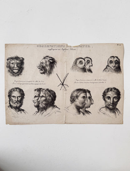 Observations appliquées au système de Lavater, N°4