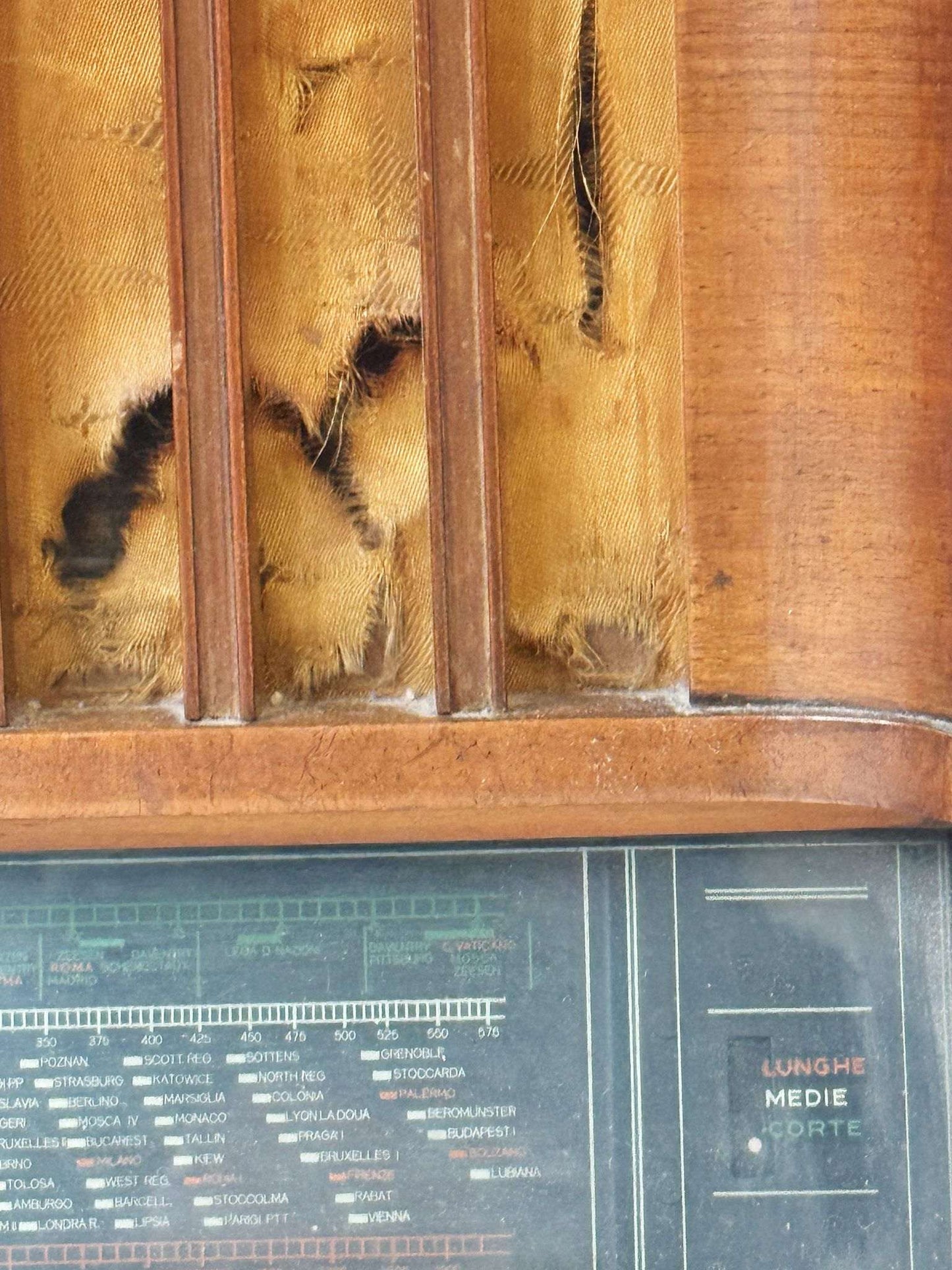 1940s Italian Bentwood Tube Radio