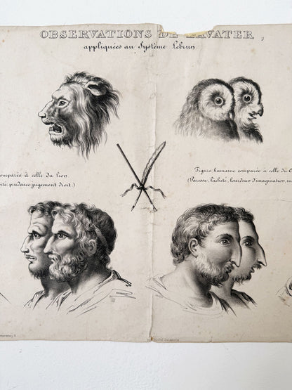 Observations appliquées au système de Lavater, N°4