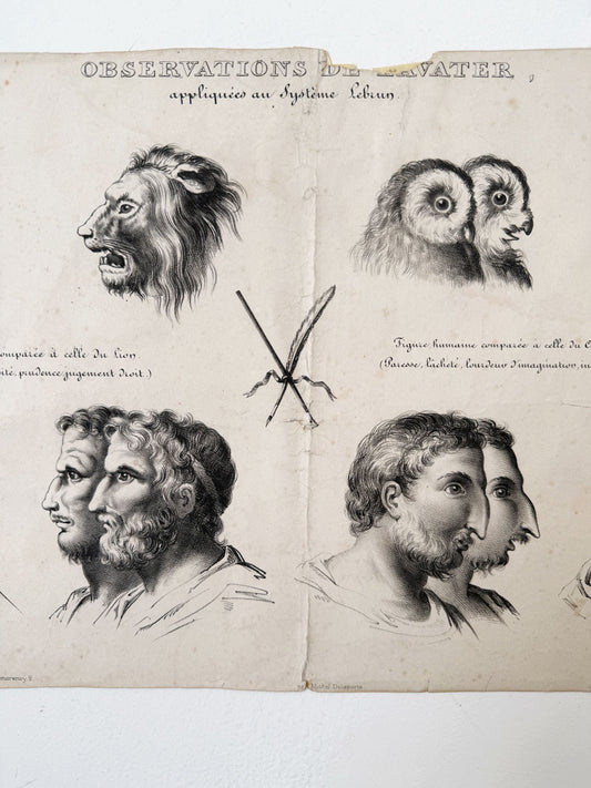 Observations appliquées au système de Lavater, N°4