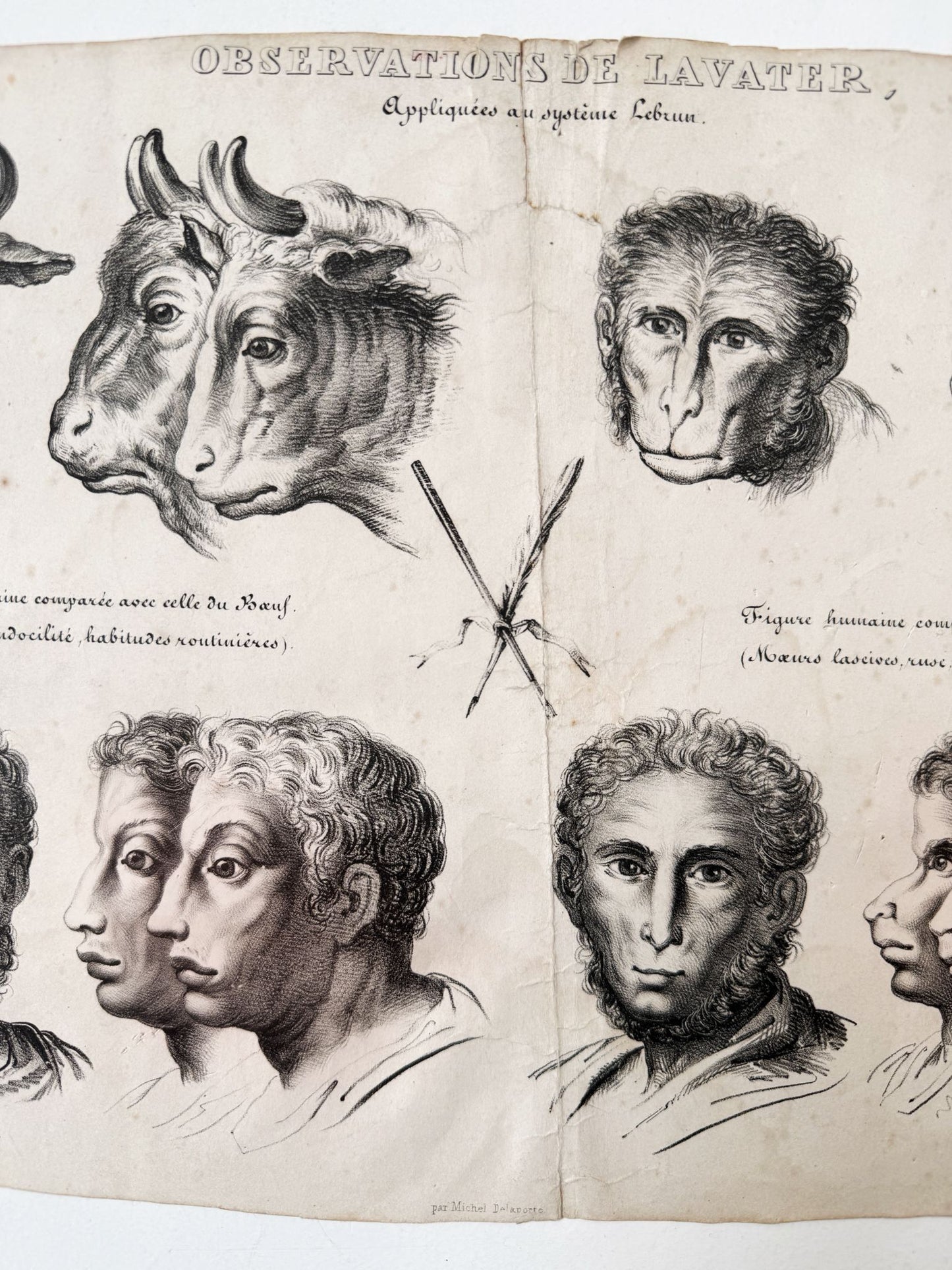 Observations appliquées au système de Lavater, N°1