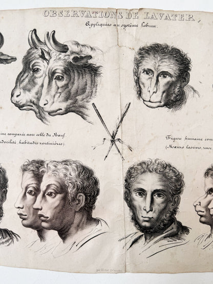 Observations appliquées au système de Lavater, N°1