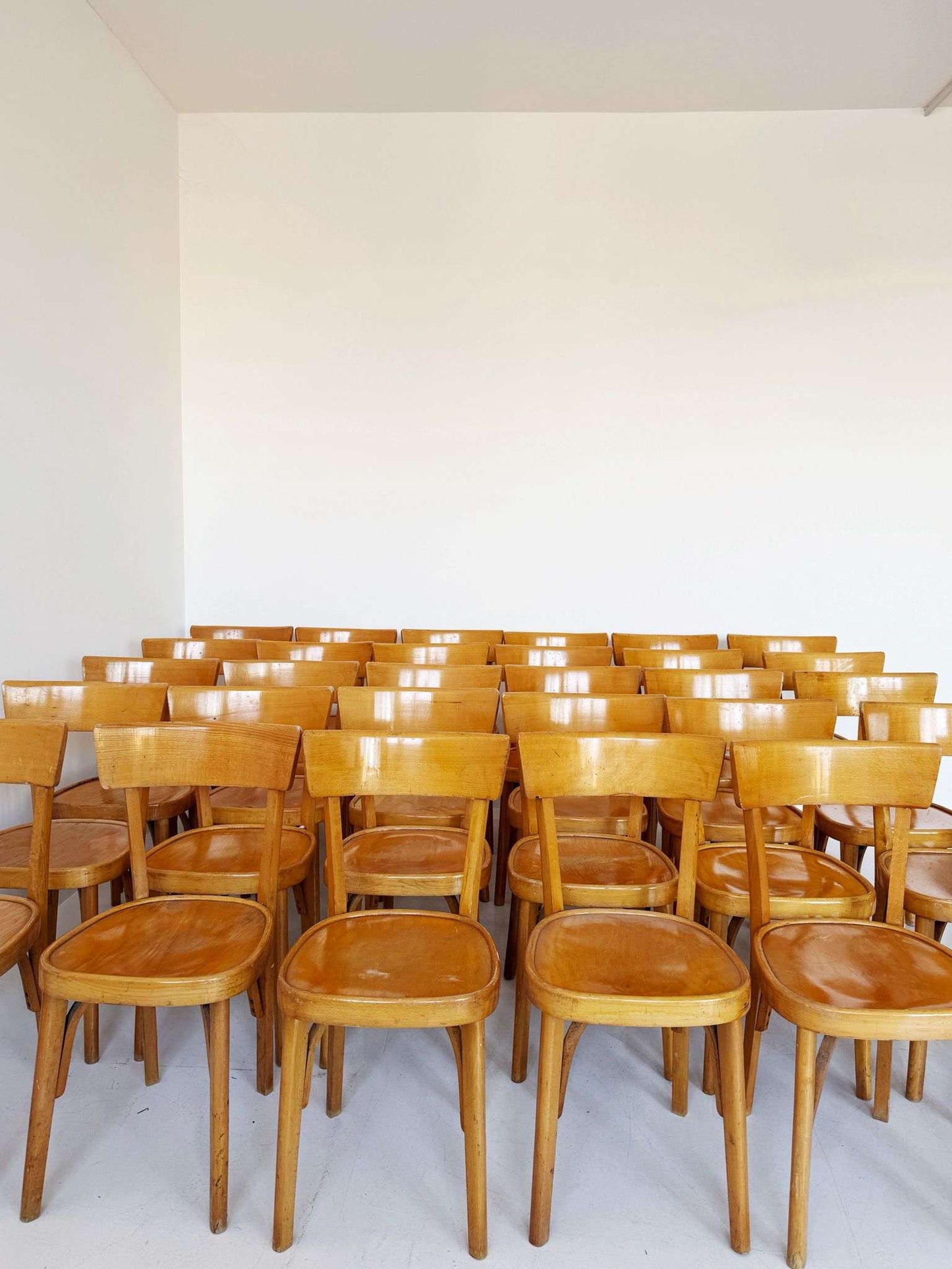 Set of 30 beechwood tavern chairs – Italy, 1950s/60s