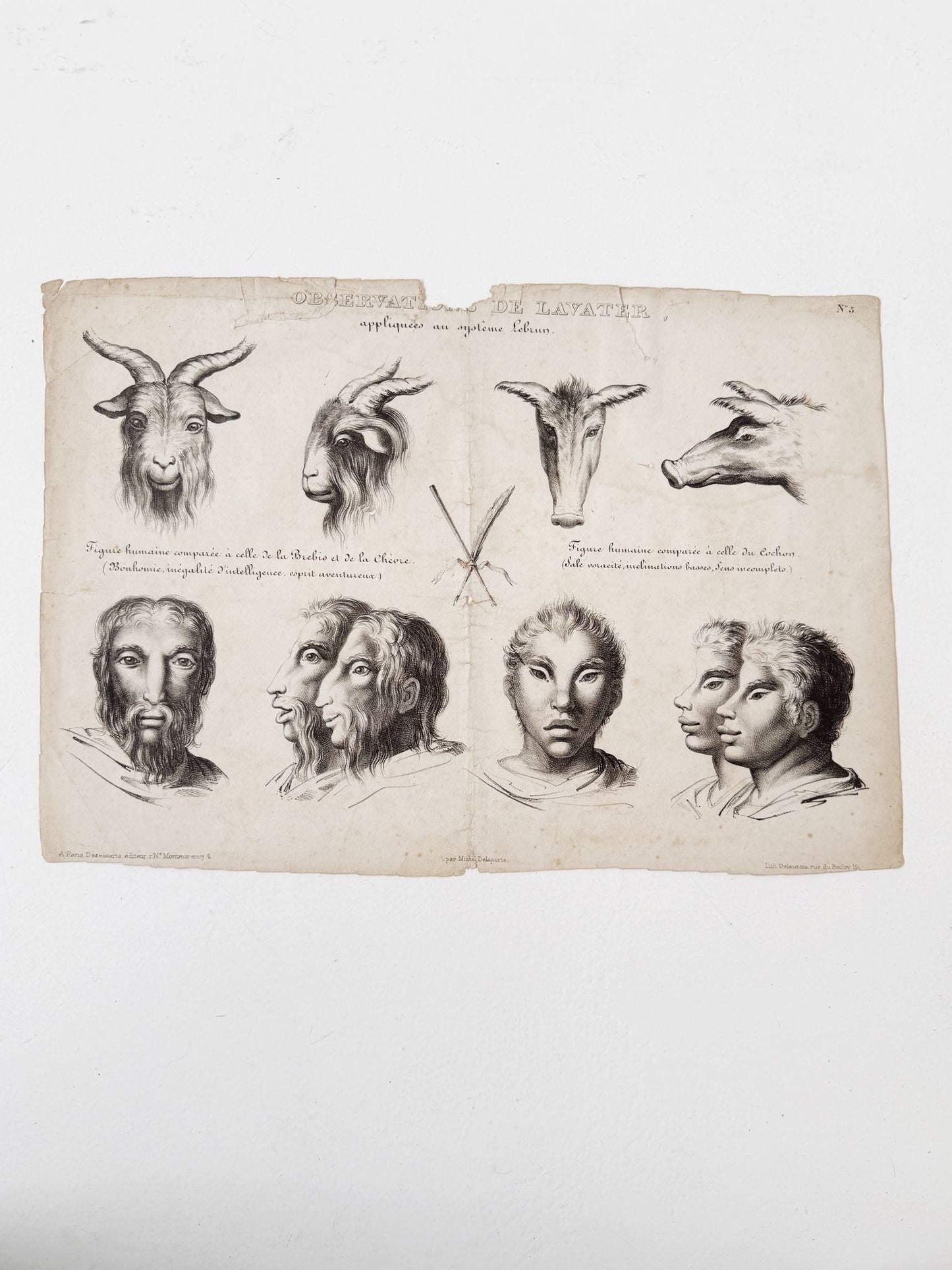 Observations appliquées au système de Lavater, N°3
