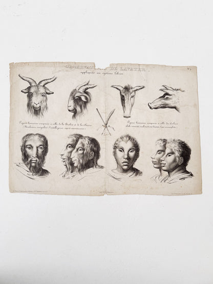 Observations appliquées au système de Lavater, N°3