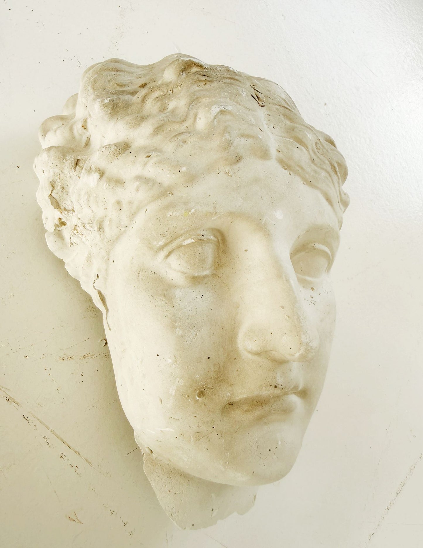 Un frammento di gesso raffigurante un volto femminile