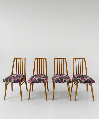 Set of 4 Czech chairs, 1960s – new upholstery