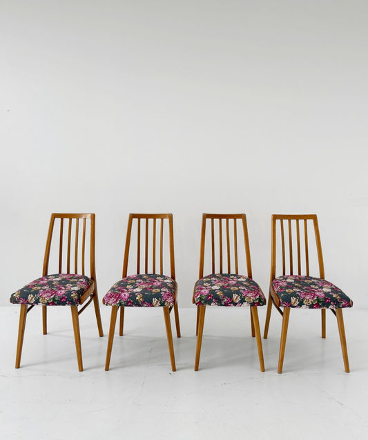 Set of 4 Czech chairs, 1960s – new upholstery