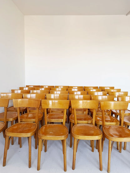 Set of 30 beechwood tavern chairs – Italy, 1950s/60s