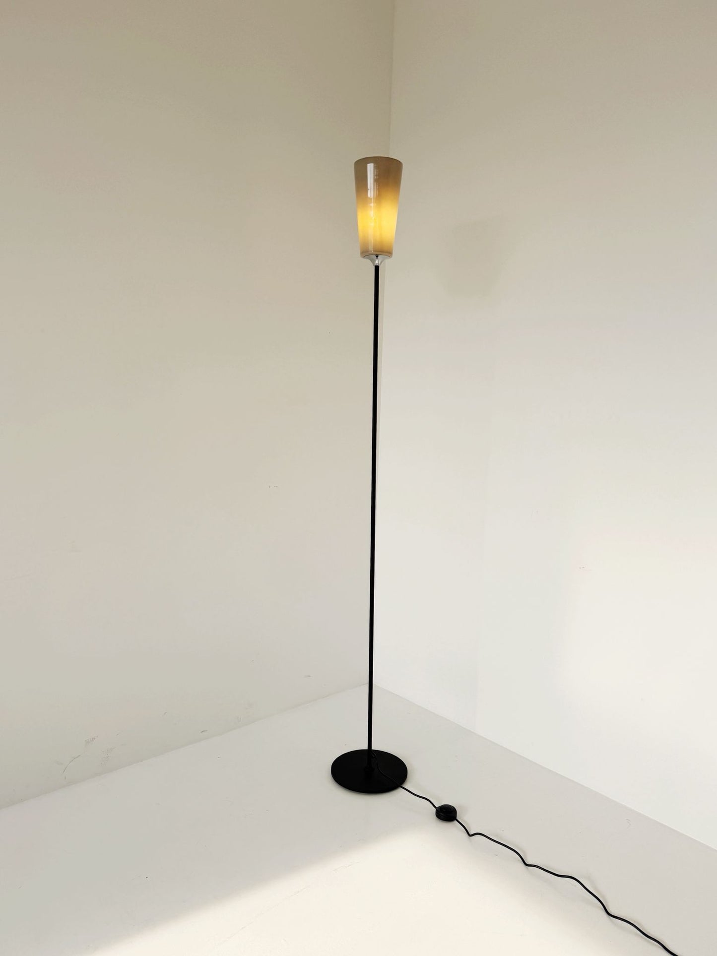 Vintage Black Metal Floor Lamp with Glass Lampshade