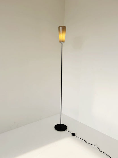 Vintage Black Metal Floor Lamp with Glass Lampshade