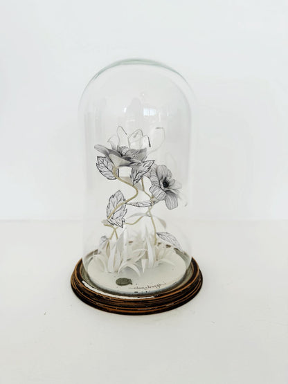 COLLIRICHE by ANTAR ELENA BORGHI