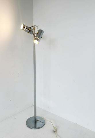 Floor lamp with two lights