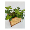 Bamboo and wicker flower pot